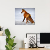 Red Fox in Winter Snow Poster (Thuiskantoor)