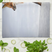 Red Fox in Winter Snow Theedoek (Gevouwen)