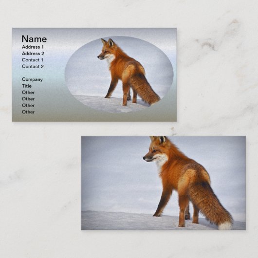 Red Fox in Winter Snow Visitekaartje (Voorkant / Achterkant)