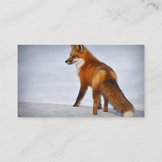 Red Fox in Winter Snow Visitekaartje (Achterkant)