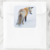 Red Fox in Winter Vierkante Sticker (Tas)