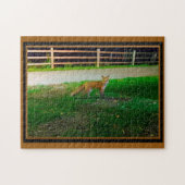 Red Fox Jigzaag Puzzle Legpuzzel (Horizontaal)