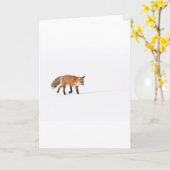Red Fox Kaart (Gele Bloem)
