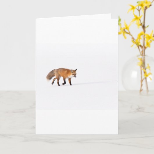 Red Fox Kaart (Gele Bloem)