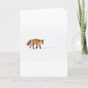 Red Fox Kaart
