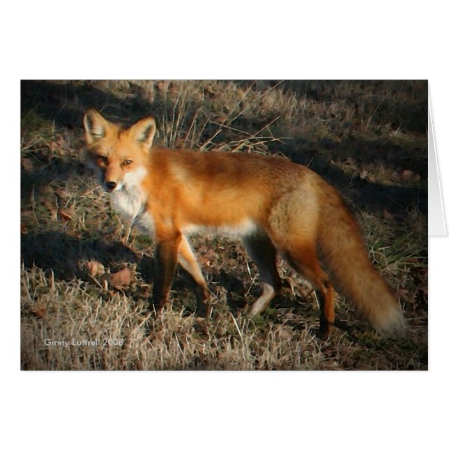 Red Fox-kaart (Voorkant Horizontaal)