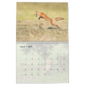Red Fox Kalender (Mar 2027)
