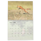 Red Fox Kalender (Mar 2026)