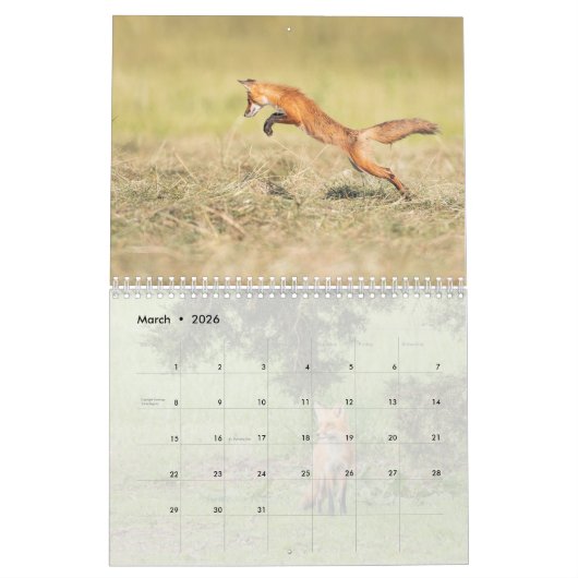 Red Fox Kalender (Mar 2026)