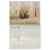 Red Fox Kalender (Feb 2026)