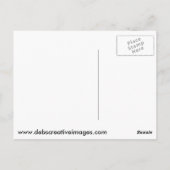 Red Fox Kit Briefkaart (Achterkant)