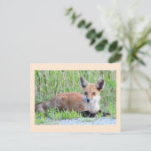 Red Fox Kit Briefkaart (Staand voorkant)