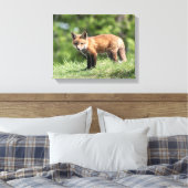Red Fox Kit Canvas Afdruk (Insitu (Slaapkamer))