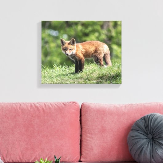 Red Fox Kit Canvas Afdruk (Insitu (Woonkamer))