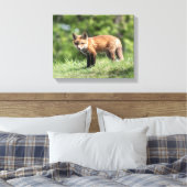 Red Fox Kit Canvas Afdruk (Insitu (Slaapkamer))