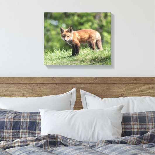 Red Fox Kit Canvas Afdruk (Insitu (Slaapkamer))