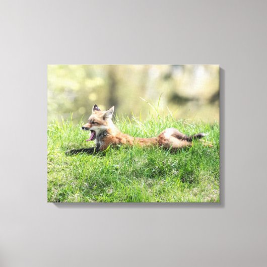 Red Fox Kit Canvas Afdruk (Voorkant)