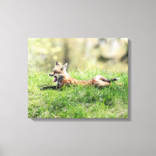 Red Fox Kit Canvas Afdruk (Voorkant)