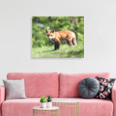 Red Fox Kit Canvas Afdruk (Insitu (Woonkamer))