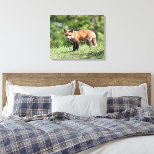Red Fox Kit Canvas Afdruk (Insitu (Slaapkamer))