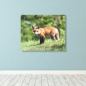 Red Fox Kit Canvas Afdruk (Insitu (Houten vloer))