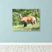 Red Fox Kit Canvas Afdruk (Insitu (Houten vloer))