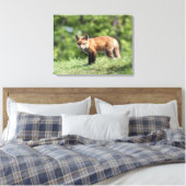 Red Fox Kit Canvas Afdruk (Insitu (Slaapkamer))
