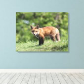 Red Fox Kit Canvas Afdruk (Insitu (Houten vloer))