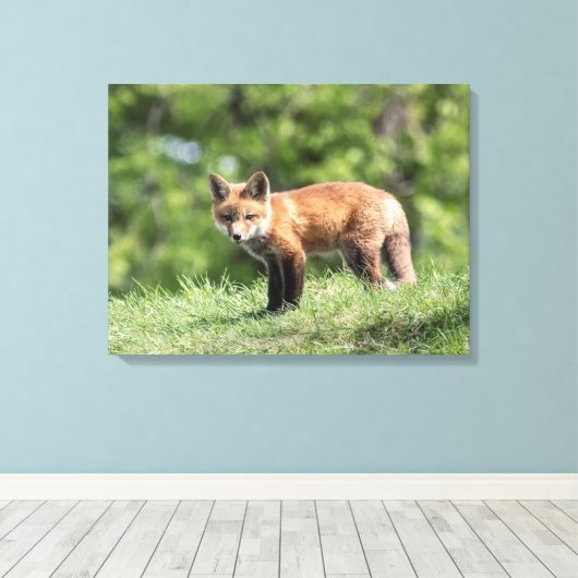 Red Fox Kit Canvas Afdruk (Insitu (Houten vloer))