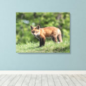 Red Fox Kit Canvas Afdruk (Insitu (Houten vloer))