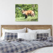Red Fox Kit Canvas Afdruk (Insitu (Slaapkamer))