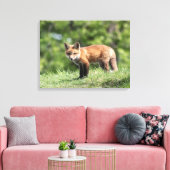 Red Fox Kit Canvas Afdruk (Insitu (Woonkamer))