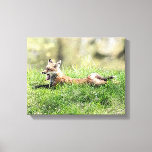 Red Fox Kit Canvas Afdruk (Voorkant)