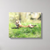 Red Fox Kit Canvas Afdruk (Voorkant)