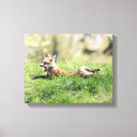 Red Fox Kit Canvas Afdruk (Voorkant)