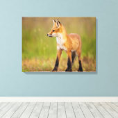 Red Fox Kit Canvas Afdruk (Insitu (Houten vloer))