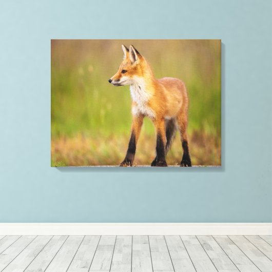 Red Fox Kit Canvas Afdruk (Insitu (Houten vloer))