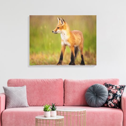 Red Fox Kit Canvas Afdruk (Insitu (Woonkamer))
