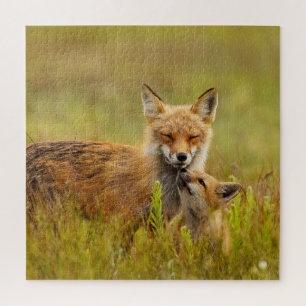 Red Fox Kit die naar Momma kijkt Legpuzzel