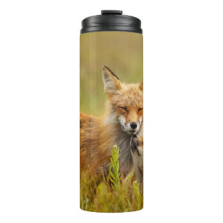 Red Fox Kit die naar Momma kijkt Thermosbeker