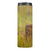 Red Fox Kit die naar Momma kijkt Thermosbeker (Achterkant)