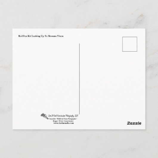 Red Fox Kit die naar Momma Post Kaart kijkt (Achterkant)