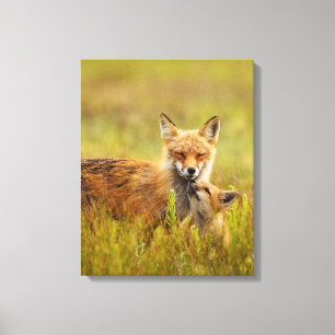 Red Fox Kit die omhoog kijkt naar Momma Vixen Canv Canvas Afdruk