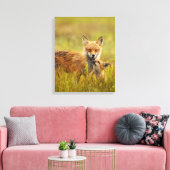 Red Fox Kit die omhoog kijkt naar Momma Vixen Canv Canvas Afdruk (Insitu (Woonkamer))