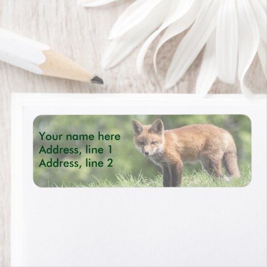 Red Fox Kit Etiket (Insitu)