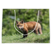 Red Fox Kit Groot Cadeauzakje (Voorkant)