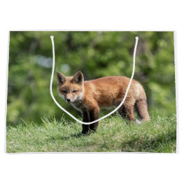 Red Fox Kit Groot Cadeauzakje