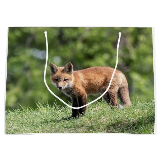 Red Fox Kit Groot Cadeauzakje (Voorkant)