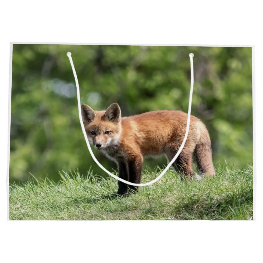 Red Fox Kit Groot Cadeauzakje (Achterkant)