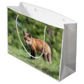 Red Fox Kit Groot Cadeauzakje (Achterkant Gekanteld)